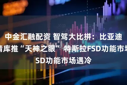 中金汇融配资 智驾大比拼:比亚迪终端清库推“天神之眼” 特斯拉FSD功能市场遇冷